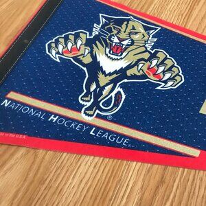 Florida Panthers Vintage NHL Pennant By WinCraft Hockey